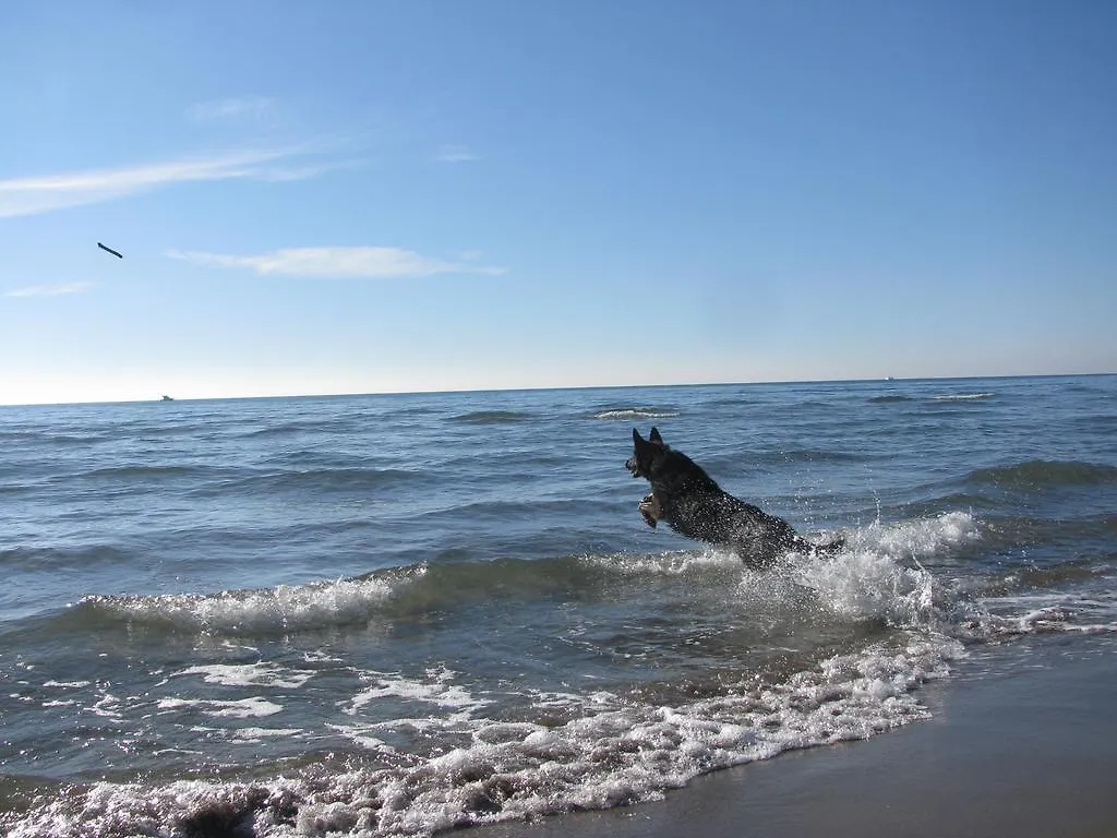 Appartamenti Il Granaio Marina di Grosseto Daire